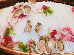 -咖啡苑 - 蔚藍夏日限定主题(永利皇宫店)