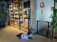 -百好乐宠物友好餐厅(朝外大街店)