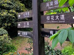 -南山植物园