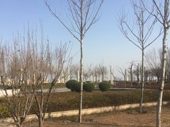 -东疆建设开发纪念公园