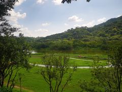 -风云岭森林公园