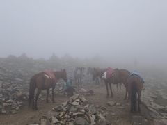 -灵山