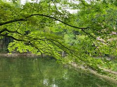 -棠湖公园