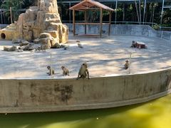 -广东茂名森林公园