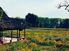 -西溪国家湿地公园