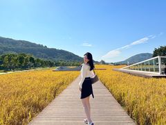 -风云岭森林公园