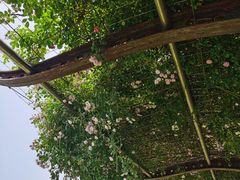 -南通洲际绿博园