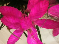 -三旗百汇商品城