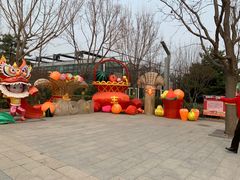 -南宫五洲植物乐园