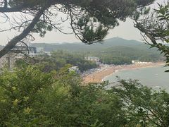 -棒棰岛宾馆景区