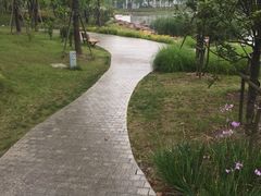 iphone_upload_pic-南翔镇银翔湖公园
