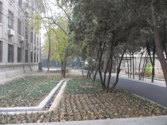 -山东大学(趵突泉校区)