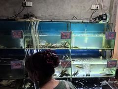 -米氏火鱼·泡椒鱼火锅(李子坝老店)