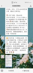 -花师傅