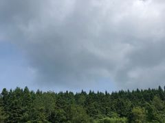 -武陵山森林公园