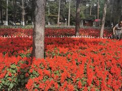-黑龙江省森林植物园
