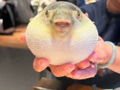 -永安鱼庄·镇江菜(东吴路店)