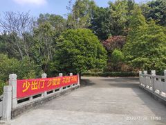 -中山市树木园