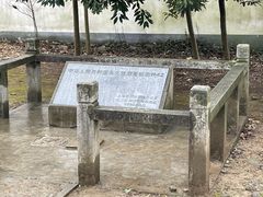 -上海佘山国家森林公园天马山园