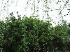 -墨池公园