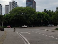 -重庆市奥林匹克体育中心-游泳跳水馆