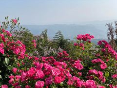 -重庆雨台山风景区