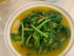 金汤豌豆尖-惠丰堂饭庄·烤鸭·京味菜(翠微路店)