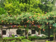 -白马涧龙池景区
