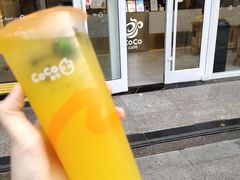 -CoCo都可(宁晋天一广场店)