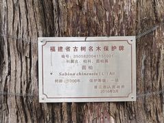 -草庵摩尼教遗址公园