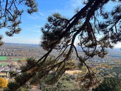 -北京西山国家森林公园