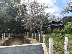 -柳侯公园