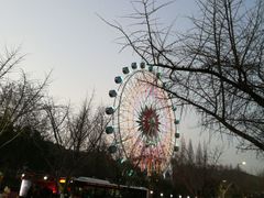 -赭山公园