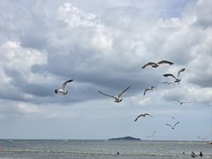 -那香海钻石沙滩浴场