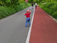 -上海长兴岛郊野公园