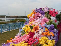 -杭州湾海上花田景区