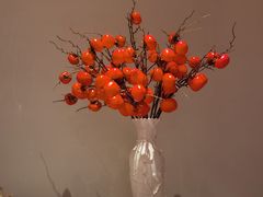 -柿合缘新京菜(国金中心商场店)