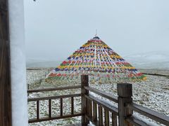 -郭莽湿地