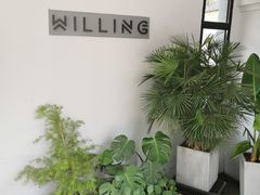 -Willing·Coffee&Brunch&Dinner(万达店)