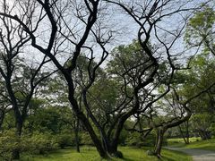 -杭州植物园