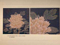 -上海博物馆