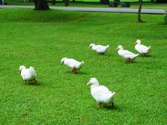 -Club Med地中海俱乐部·桂林度假村