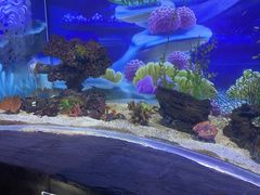 -梦幻海洋王国(吾悦广场张家港店)