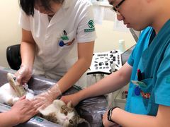 -瑞派宠物医院·24h·骨外科·皮肤科·全科宠物医疗转诊中心(沈阳浑南院)
