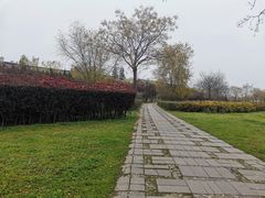 -咸阳湖景区