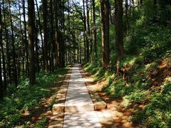 -莫干山大坑景区-停车场