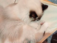 -seeu coffee(江滩店)