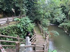 -广州市石门国家森林公园