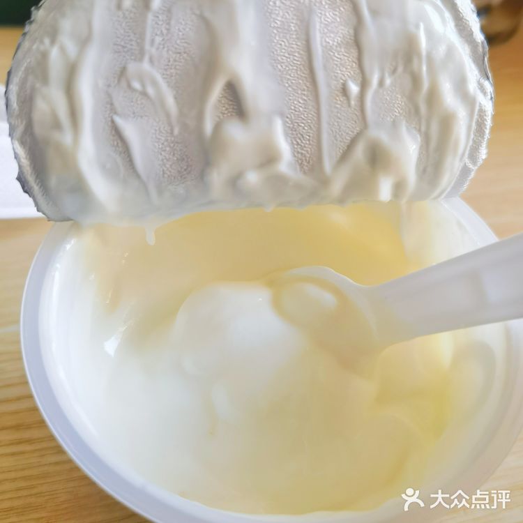 会拉丝的酸乳酪