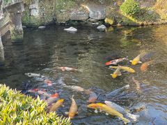 -水前寺成趣园